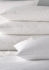 The Home Studio Kyla Interiors Luxury Feather & Down Pillow
