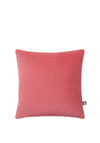 Scatter Box Richelle Velvet Cushion 45x45cm, Raspberry