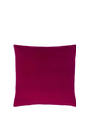 Riva Paoletti Sunningdale Velour Feather Cushion 50x50cm, Cerise