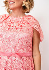Samantha Jane Floral Lace Midi Dress, Coral