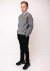St. Columbas College Jumper, Grey