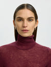 Selected Femme Vendy Sheer Roll Neck Top, Wine