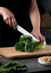 Stellar Poise 21cm Carving Knife
