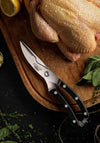 Stellar & Sabatier Poultry Shears