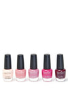 The Beauty Studio 5 Piece Nail Polish Gift Set