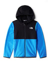 The North Face Boys Glacier Hooded Fleece, Optic Blue