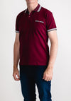 Advise Contrast Collar Polo Shirt, Plum