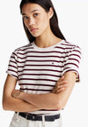 Tommy Hilfiger Womens Slim Cody Stripe T-Shirt, Beige