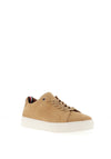 Tommy Hilfiger Premium Corporate Trainers, Classic Khaki