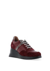 Wonders Eva Platform Wedge Trainers, Wine