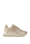 LADEIS FASHION TRAINER