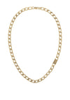 Calvin Klein Curb Chain Necklace, Gold