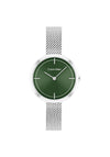 Calvin Klein Ladies Mesh Strap Watch, Silver & Green