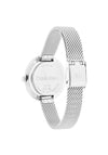 Calvin Klein Ladies Mesh Strap Watch, Silver & Green