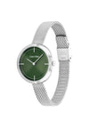 Calvin Klein Ladies Mesh Strap Watch, Silver & Green