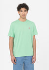 Dickies Mapleton T-Shirt, Apple Mint