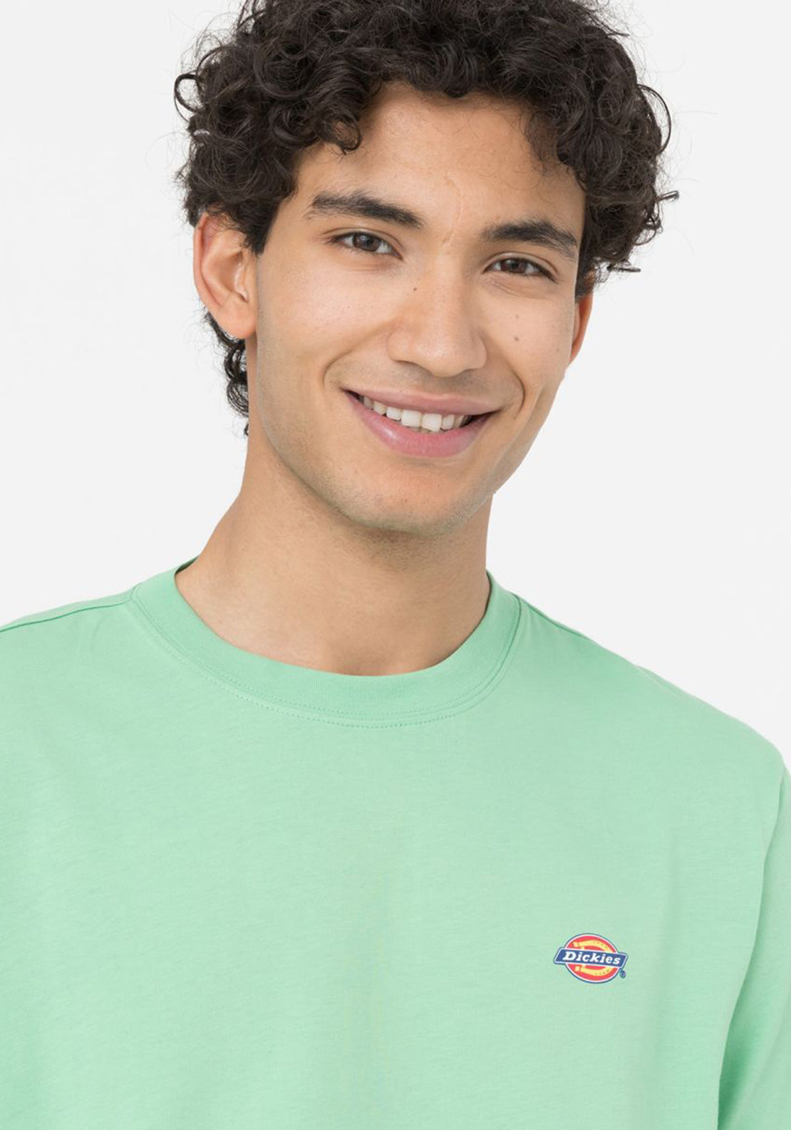 Dickies Mapleton T-Shirt, Apple Mint