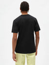 Dickies Mapleton Short Sleeve T-Shirt, Black