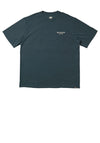 Dickies Oatfield T-Shirt, Air Force Blue