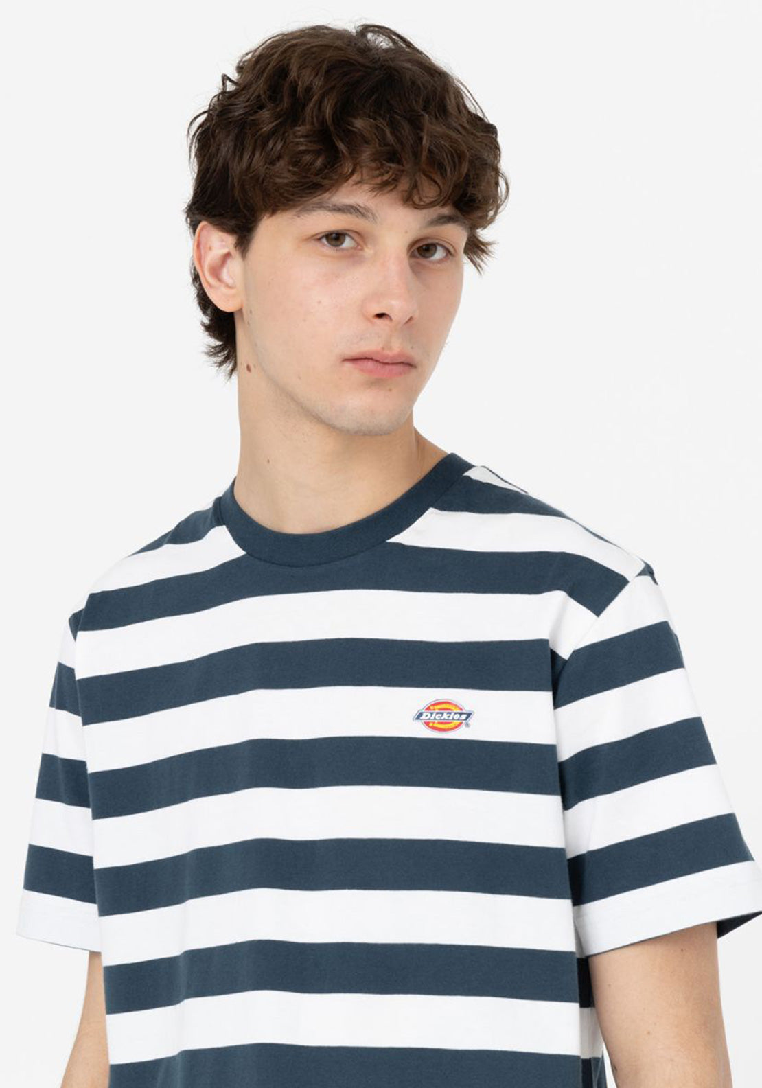 Dickies Rivergrove T-Shirt, Airforce Blue
