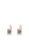 Absolute Halo French Hook Earrings, Rose Gold