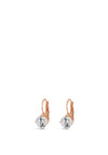 Absolute Small Diamante Drop Earrings, Rose Gold