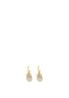 Absolute Opal Disc Drop Earrings, Gold