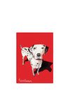 Eoin O’Connor by Tipperary Crystal Mutz Tea Towel Set of 3