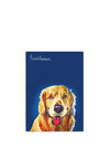 Eoin O’Connor by Tipperary Crystal Mutz Tea Towel Set of 3