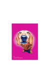 Eoin O’Connor by Tipperary Crystal Mutz Tea Towel Set of 3