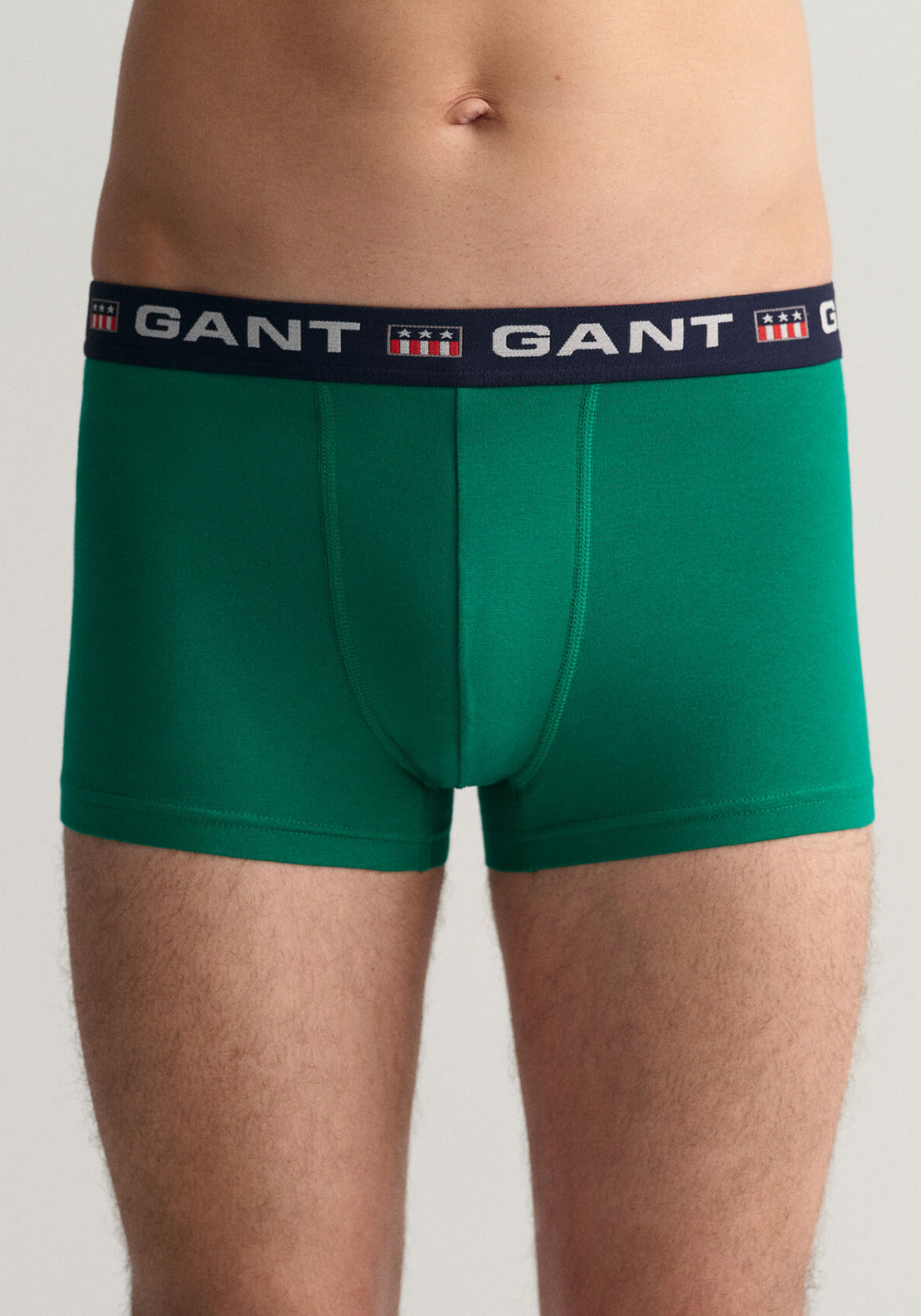Gant Retro Shield Trunks, Lush Green Multi