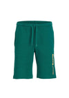 Jack & Jones Boy Stneo Sweat Shorts, Storm