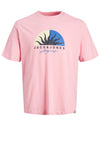 Jack & Jones Boys Short Sleeve Logo Tee, Prism Pink