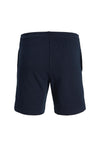 Jack & Jones Neo Shorts, Sky Captain