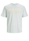 Jack & Jones Palma T-Shirt, Pale Blue