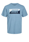 Jack & Jones Fly Big Scale T-Shirt, Mountain Spring