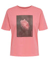 JDY Vivi Print T-Shirt, Desert Rose