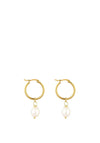 Knight & Day Freshwater Pearl Earrings, Gold