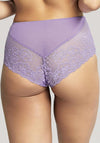 Panache Envy Lace Deep Brief, Violet