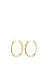 Pilgrim Be Crystal Hoop Earrings, Gold