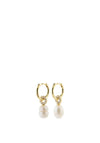 Pilgrim Freshwater Pearl Hoop Earrings, Gold