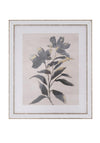 Fern Cottage Wild Flower with Gold Leaf Print Mirrored Frame, 56 x 66cm