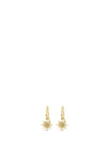 Absolute North Star Earrings, Gold