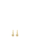 Absolute North Star Earrings, Gold