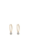 Absolute Jewellery Hoop Crystal Drop Earrings, Gold