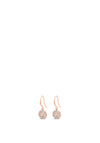 Absolute Opal North Star Earrings, Rose Gold