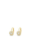 Absolute Pave Halo French Hook Earrings, Gold
