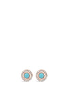 Absolute Turquoise Collection Earrings, Rose Gold