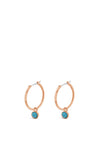 Absolute Turquoise Hoop Earrings, Rose Gold