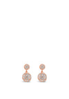 Absolute Stud Drop Crystal Rose Gold Earrings, JE232RS